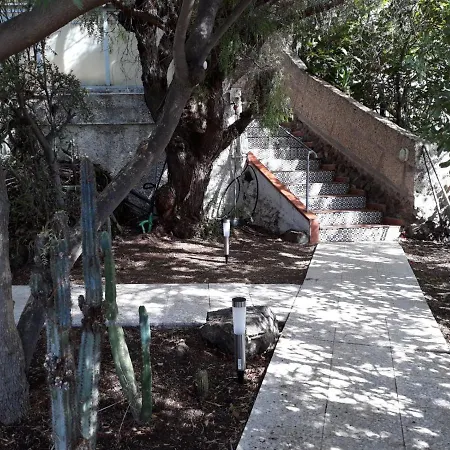 Finca Chamaro