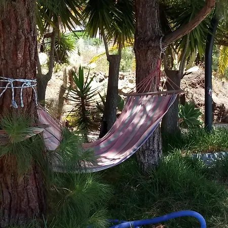 Lägenhet Finca Chamaro *