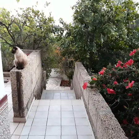 Lägenhet Finca Chamaro *